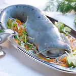 & Restaurant Walfisch