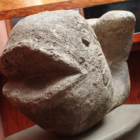 酒店 & Restaurant Walfisch 3*