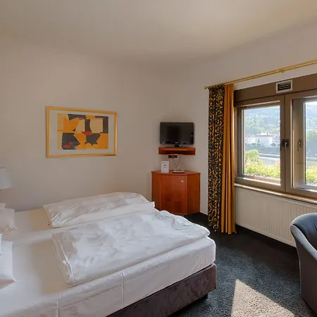 & Restaurant Walfisch 维尔茨堡