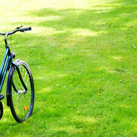 & Restaurant Walfisch 3* 维尔茨堡