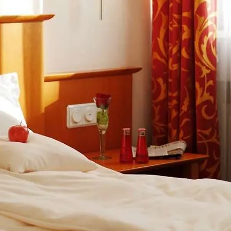 & Restaurant Walfisch 维尔茨堡