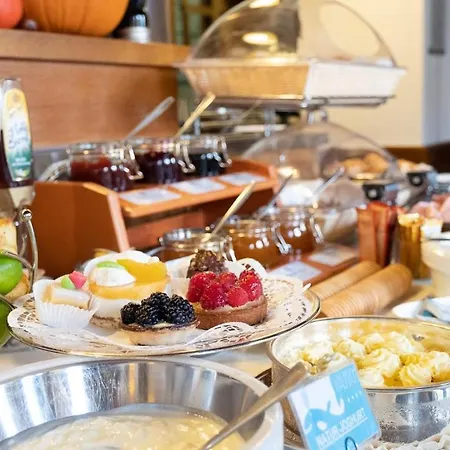 & Restaurant Walfisch 酒店 维尔茨堡