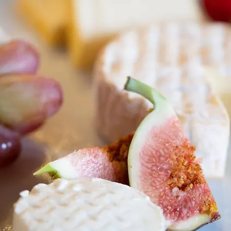 & Restaurant Walfisch 维尔茨堡